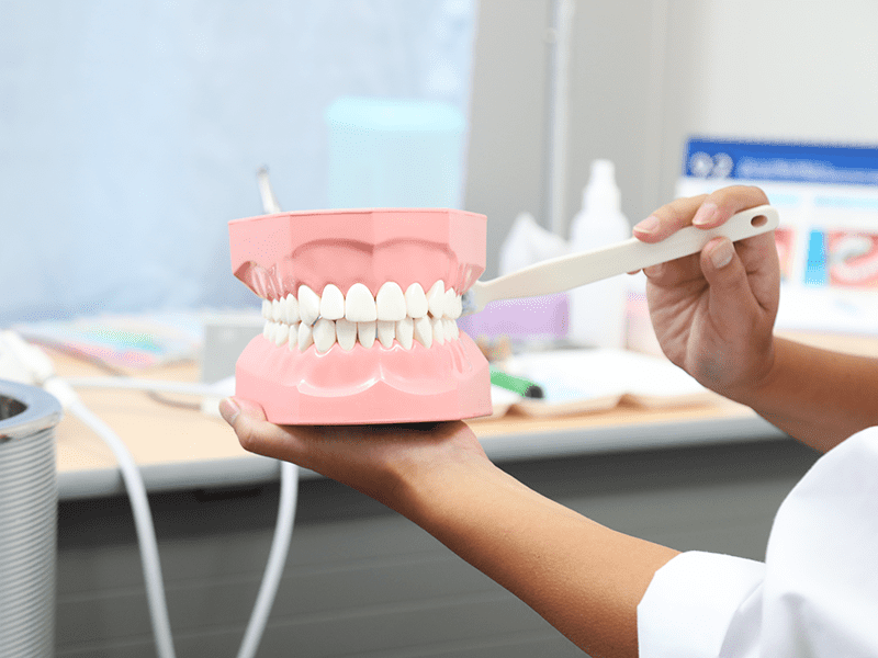 歯科衛生士ブラッシング指導